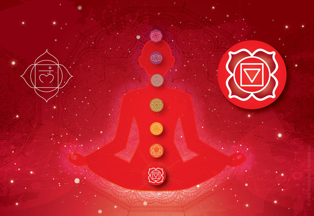 Le Premier Chakra : Muladhara